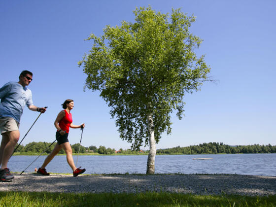 Nordic Walking - Soier-See-Trail