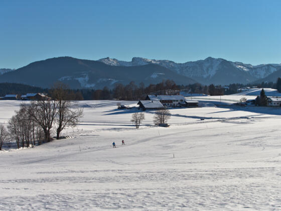 Langlaufloipe Kirmesauer Runde