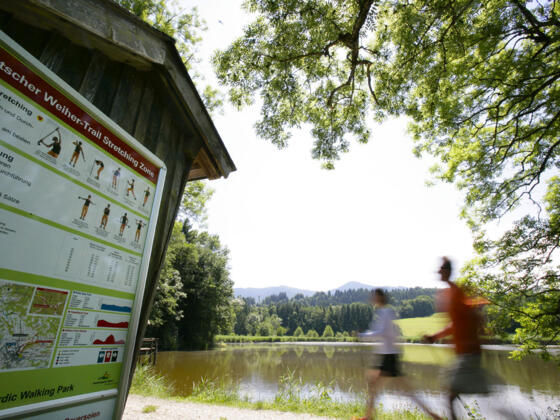 Nordic Walking Rantscher-Weiher-Trail - am Soier See