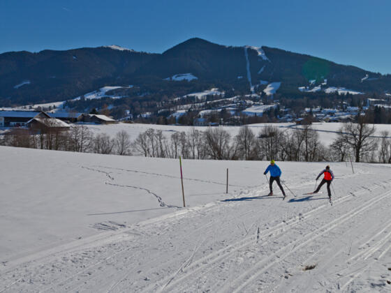 Langlaufloipe - Große Rochusrunde