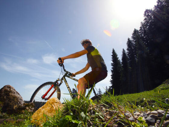 Mountainbiketour Aufacker Runde