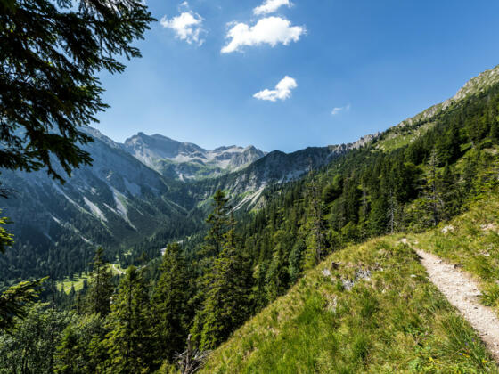 Weitblick über bewaldeten Hang und schmalen Pfad