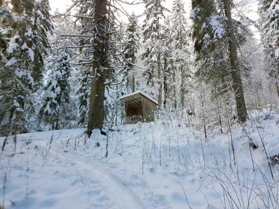 Unterstand am Königssteig