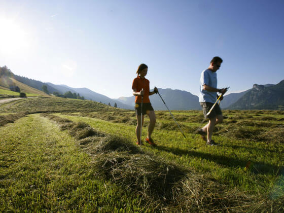 Nordic Walking - Kulturlandschaft Genusstour