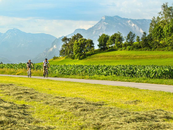 Heuernte bei Muntigl mit Untersberg im Hintergrund