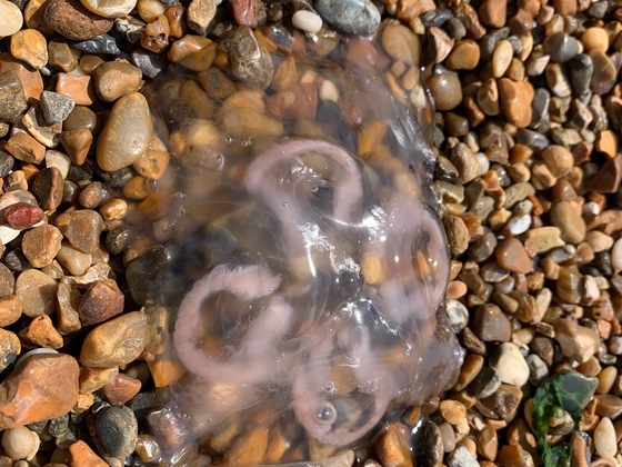 Beim Moiern Bild: CC BY-SA 4.0 Ricardalovesmonuments