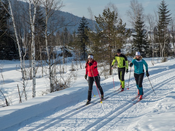 Langlaufen auf der Filzenloipe in Inzell