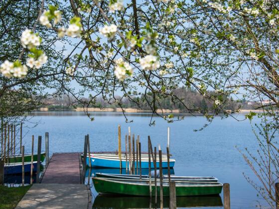 Frühling am Abtsdorfer See