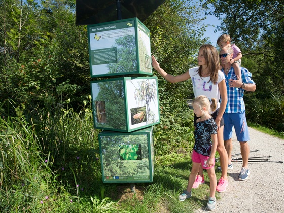 Erkundungstour auf dem Moor-Erlebnis-Pfad in Inzell