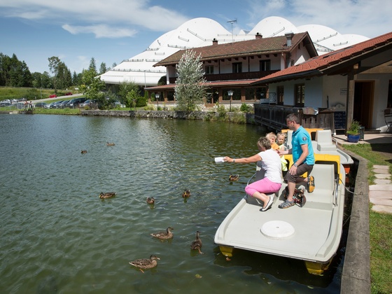 inzell sommer tretboot zwingsee enten füttern02_ff