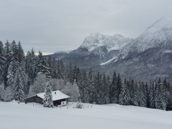 Wintertraum Bäckeralm in Inzell