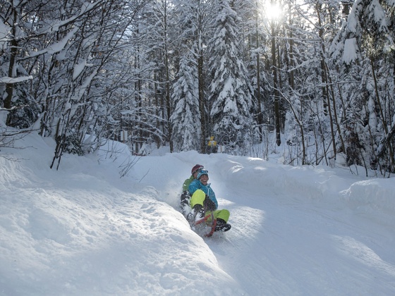 Rodelspaß an der Naturrodelbahn in Adlgaß/Inzell