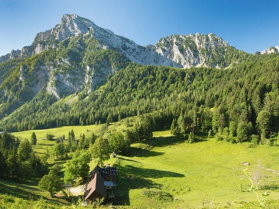 Die Stzeiner Alm am Hochstaufen
