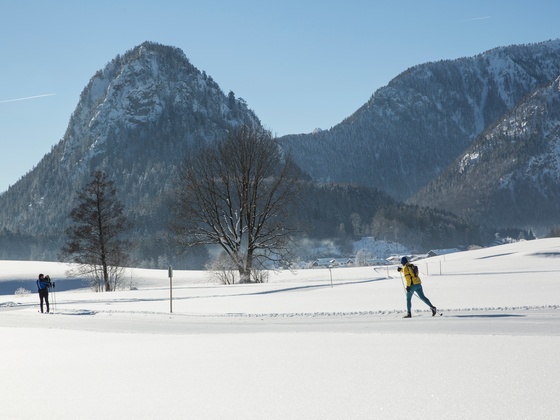 Panorama-Loipen in Inzell im Chiemgau