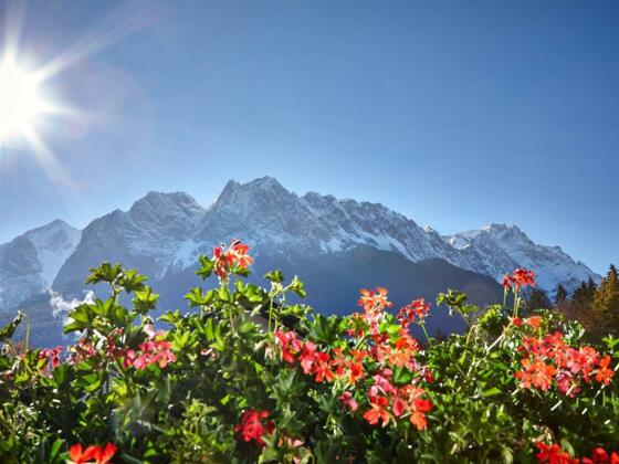 gm15-ab-004-marcgilsdorf