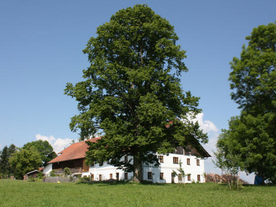 Ferien &quot;Beim Baur&quot; - Ferienwohnung Bauerngarten