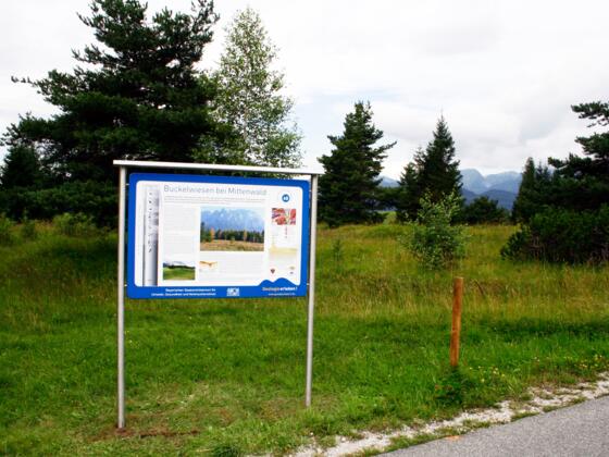 Infotafel an den Buckelwiesen