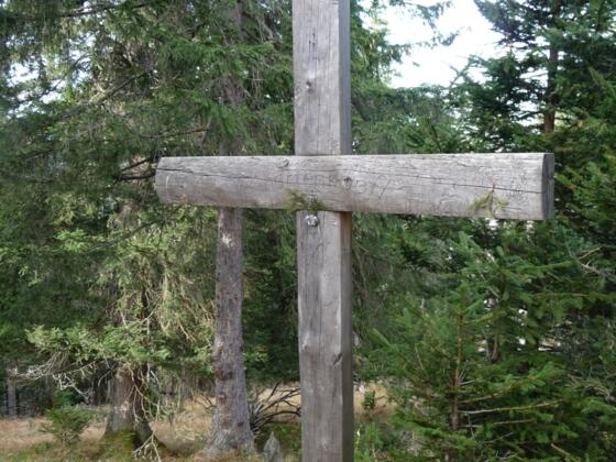 Der Gipfel des Schartenköpfel (1370 m) ist bewaldet