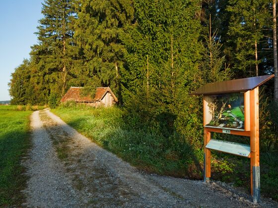 Schaukasten, Station 4