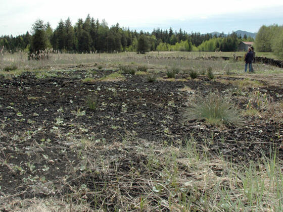 Moorabbaugebiet Bad Kohlgrub