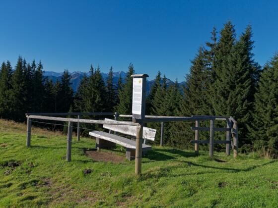 Stele Meditationsweg - Mittleres Hörnle