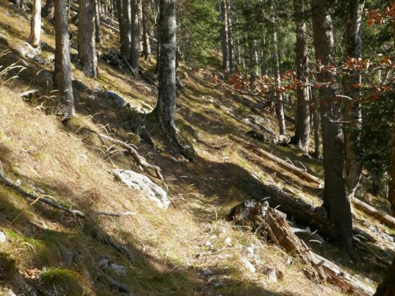 Mardersteig Querung Höhe ca. 1400 m