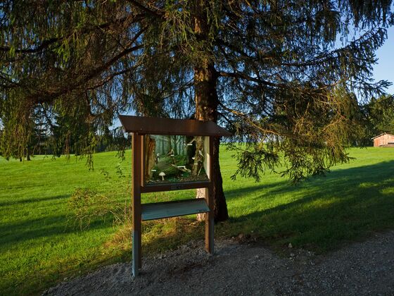 Schaukasten, Station 5