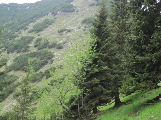 Blick zurück zum Brünstelskopf