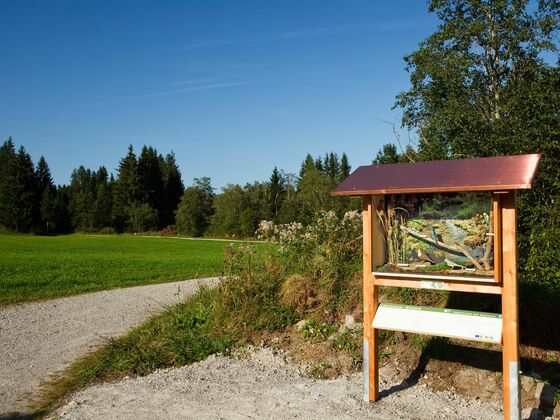 Schaukasten, Station 6