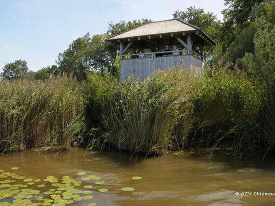 Blick vom Wasser auf den Beobachtungsturm Lachsgang.