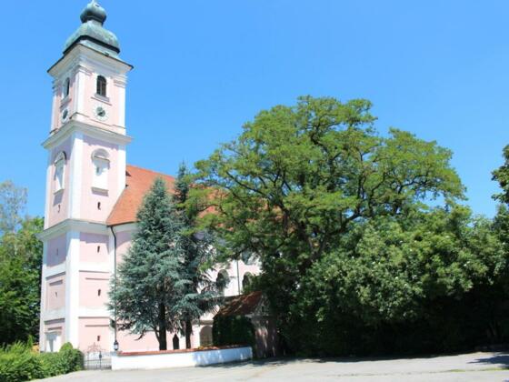 Wallfahrtskirche Mariä Himmelfahrt Tading