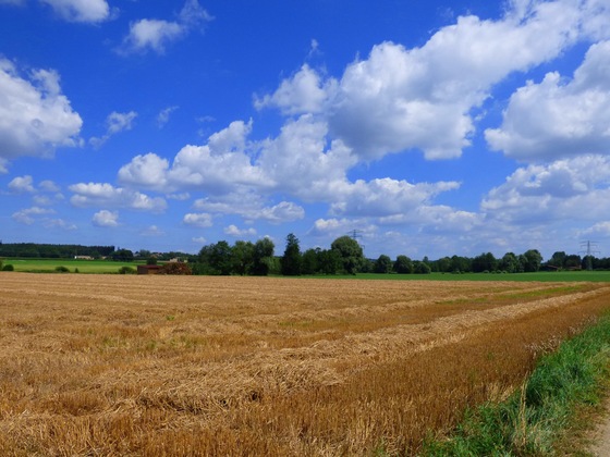 An der Rott bei Massing