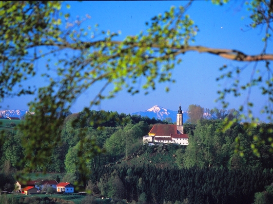 Hirten: Blick auf Margarethenberg