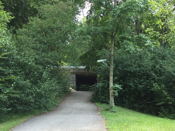 Vor Aidenried, von links kommend Schräge, Vorsicht