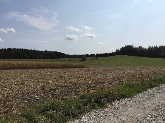 Schlagenhofen nach Ellwang , schlechter Weg.