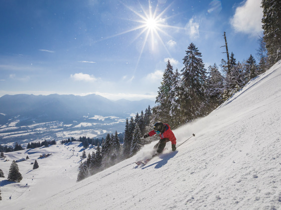Junger Skifahrer am Brauneck