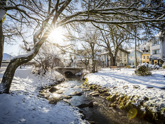 Kleiner Japanischer Garten im Winter