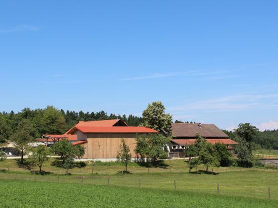 Biohof Wimmer
