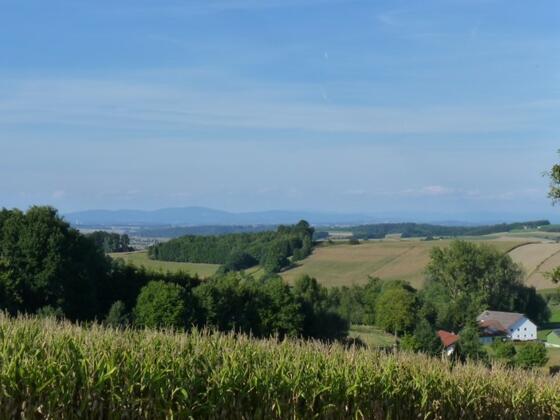 Aussicht bei Schacha