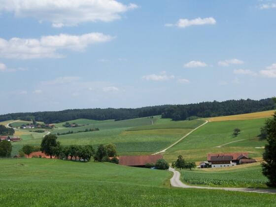 Ausblick bei Matzing