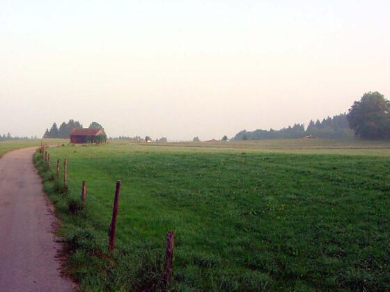 Blick über das Moor.