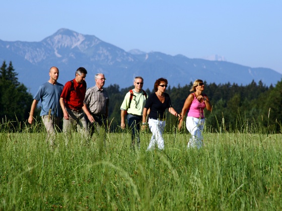 Aussucht zum Heimgarten