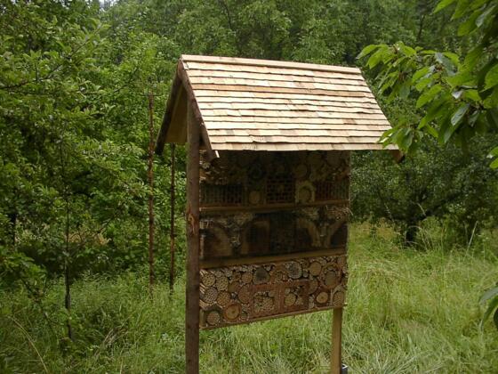 Naturobstgarten Schachtelberg