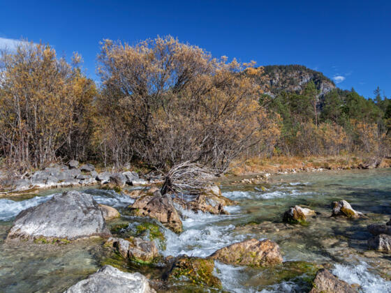 Wildflusslandschaft Isar in Vorderriß
