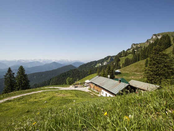 Quengeralm im Sommer