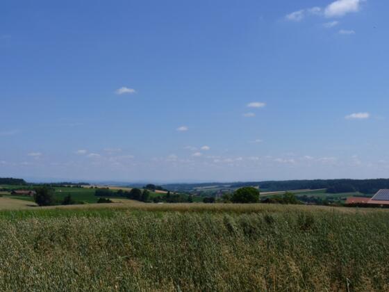 Ausblick bei Brand