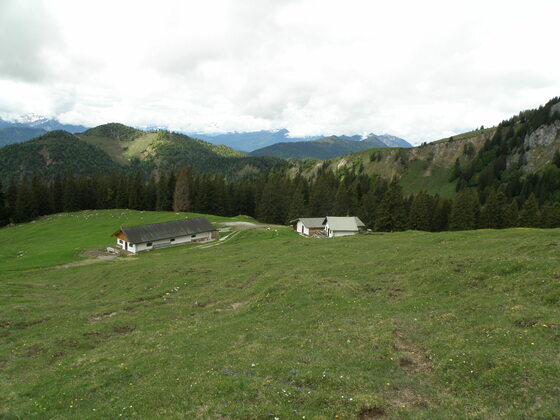 Vordere Scharnitzalm