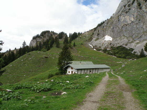 Hintere Scharnitzalm 1420 m