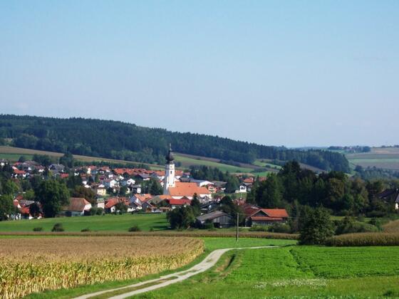 Blick von Hochreuth auf Triftern