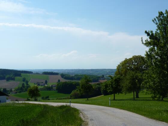 Ausblick von Köblöd Richtung Triftern
